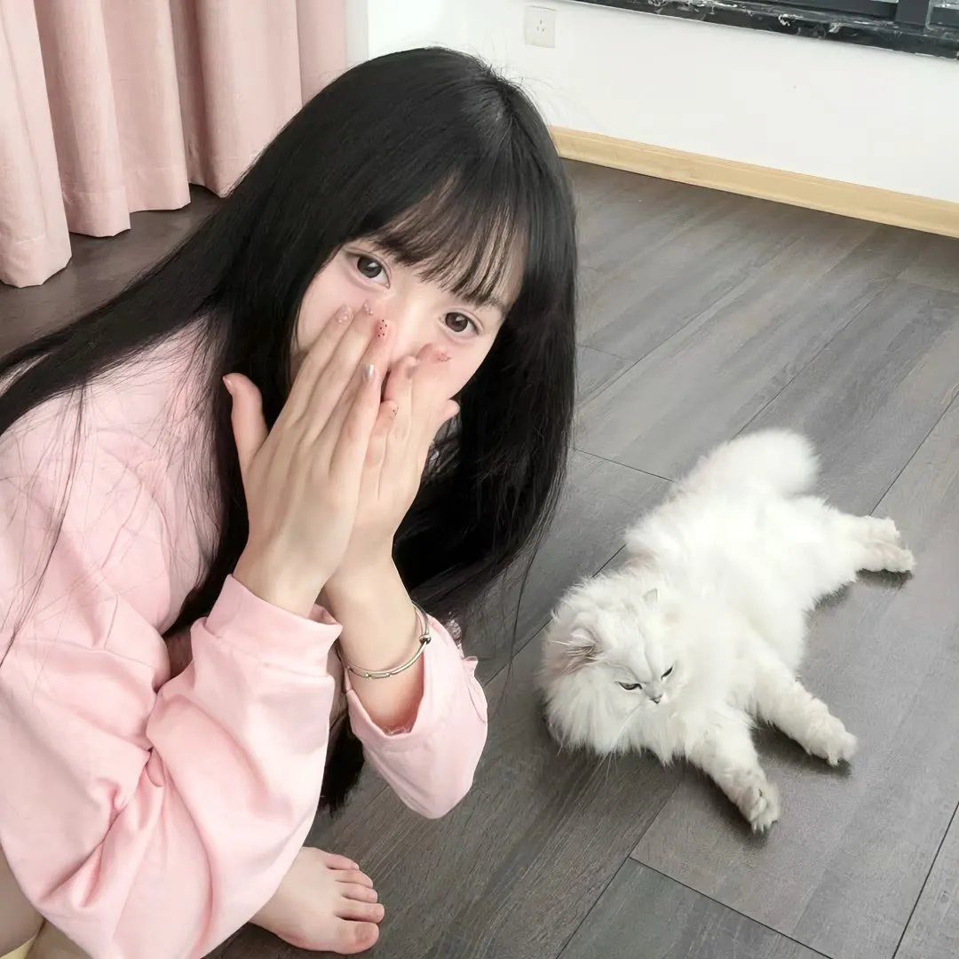 热播剧集