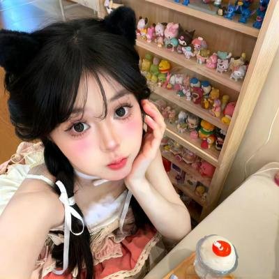 翱翔于天际的夜鹰